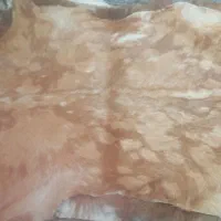 پوست تزیینی بزغاله