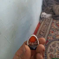 پرتقالی|جواهرات|تربت‌حیدریه, طالقانی|دیوار