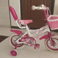 دوچرخه بچه گانه Blast صورتی