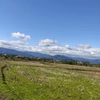 مزرعه ده تاسی هزار متر،مناسب کاشت کیوی|فروش زمین و ملک کلنگی|تالش, طولارود|دیوار