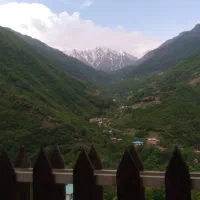 تور یکروزه جنگل ۲۰۰۰