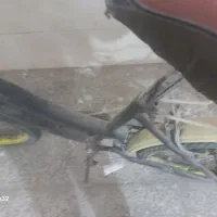 دوچرخه ارزان و خوب|دوچرخه، اسکیت، اسکوتر|شاهرود, |دیوار