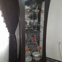 ویترین در حد نو