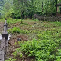 300 متری جنگلی /بافت مسکونی /آماده ساخت