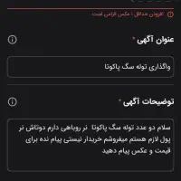 واگذاری توله سگ پاکوتا