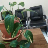 فروش مغازه بلوار دیلمان شهرک بهشتی/ مالکیت