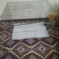 قفس سهره قناری عروس هلندی قفس|لوازم جانبی حیوانات|پردیس, فاز ۳|دیوار