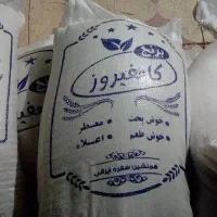 برنج اصل کامفیروز بشرط