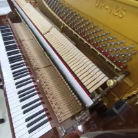 پیانو Mendelssohn مناسب هنرجو تا حرفه ای