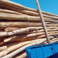 خرید چوب کهنه و مصرفی