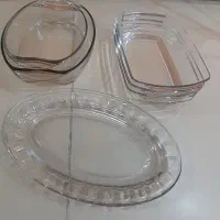 سرویس پذیرایی ومرغ خوری ودیس