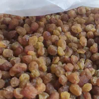 یکونیم کیلو کشمش امسالی پاک شده