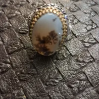 انگشتر شجر فروش یا معاوضه