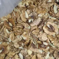مغز گردو‌ ایرانی تازه امسالی|خوردنی و آشامیدنی|شیراز, قدوسی شرقی|دیوار