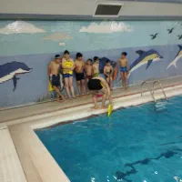 مربی حسی حرکتی رفتاری شناختی طیف اتیسم|خدمات آموزشی|تهران, بلوار کشاورز|دیوار