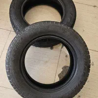 لاستیک 14