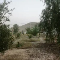 باغ شهری حسن لری