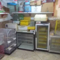 نمایندگی فروش دستگاه جوجه کشی|لوازم جانبی حیوانات|نوشهر, |دیوار