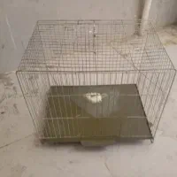 قفس