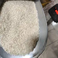 برنج هاشمی اعلا محلی و نیم دانه هاشمی درشت