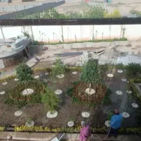 خدمات کلیه باغبانی باغچه کاری گلکاری کاشت گل وگیا|خدمات باغبانی و درختکاری|کرج, عظیمیه|دیوار