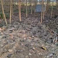 زمین|فروش زمین و ملک کلنگی|گوراب زرمیخ, |دیوار