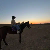 آموزش سوارکاری کاشمر