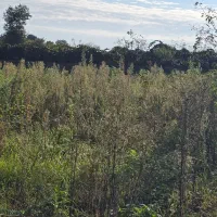 فروش زمین بادوکاربری مسکونی جداگانه