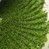 سبزی خورد کن  بشقابی|ماشین‌آلات صنعتی|بادرود, |دیوار