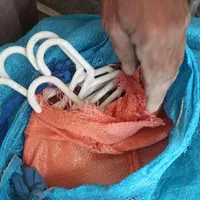 رخت آویز|بندرخت و رخت‌آویز|زاهدان, |دیوار