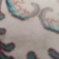 شیشه در و پنجره