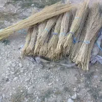 جارو
