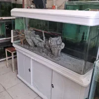 آکواریوم مدل دلسا