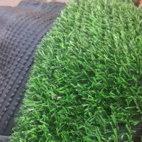 توزیع انواع چمن، فنس،سنگ رودخانه|عمده‌فروشی|رشت, معلولین|دیوار