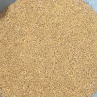 بذر یونجه قره یونجه