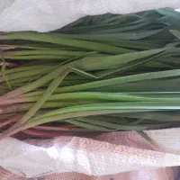پرموسیر تازه