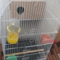 قفس سالم درحدنو و چهارپایه نو نو|لوازم جانبی حیوانات|اصفهان, جاوان|دیوار
