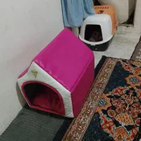 خونه ی گربه و سطل شن و خاک گربه و غذای گربه
