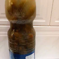 خیارشور خونگی