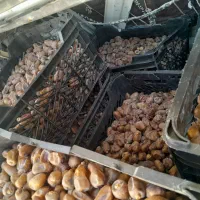 خرما کباب درجه 1