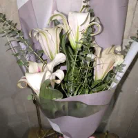 لیلیوم دسته گل اورینتال|گل و گیاه طبیعی|قم, زنبیل آباد|دیوار
