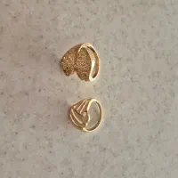 انگستر بدون اجرت