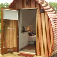 نی نیزار (بامبو)|گل و گیاه طبیعی|سرخرود, |دیوار