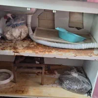 کابینت|آبچکان و نظمدهنده ظروف|مشگین شهر, |دیوار