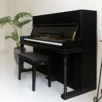 Planot UW120 الکتریک|پیانو، کیبورد، آکاردئون|مشهد, دانشجو|دیوار