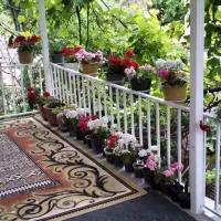سوییت اجاره‌ای