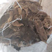 پشم گوسفند نشسته