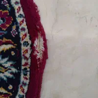 پادری بیضی طول۱/۵ ×۷۰|پادری|تهران, زرکش|دیوار