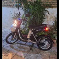 موتور برقی دندی