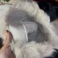 کلاه روسی|لباس|شیروان (خراسان), |دیوار